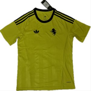 25-26 Juventus goalkeeper fan version jersey